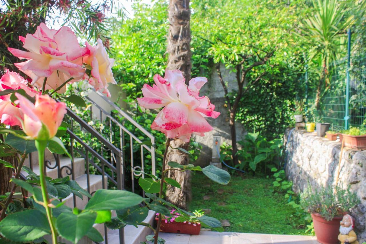Sunny Bay Apartments โกตอร์ ภายนอก รูปภาพ